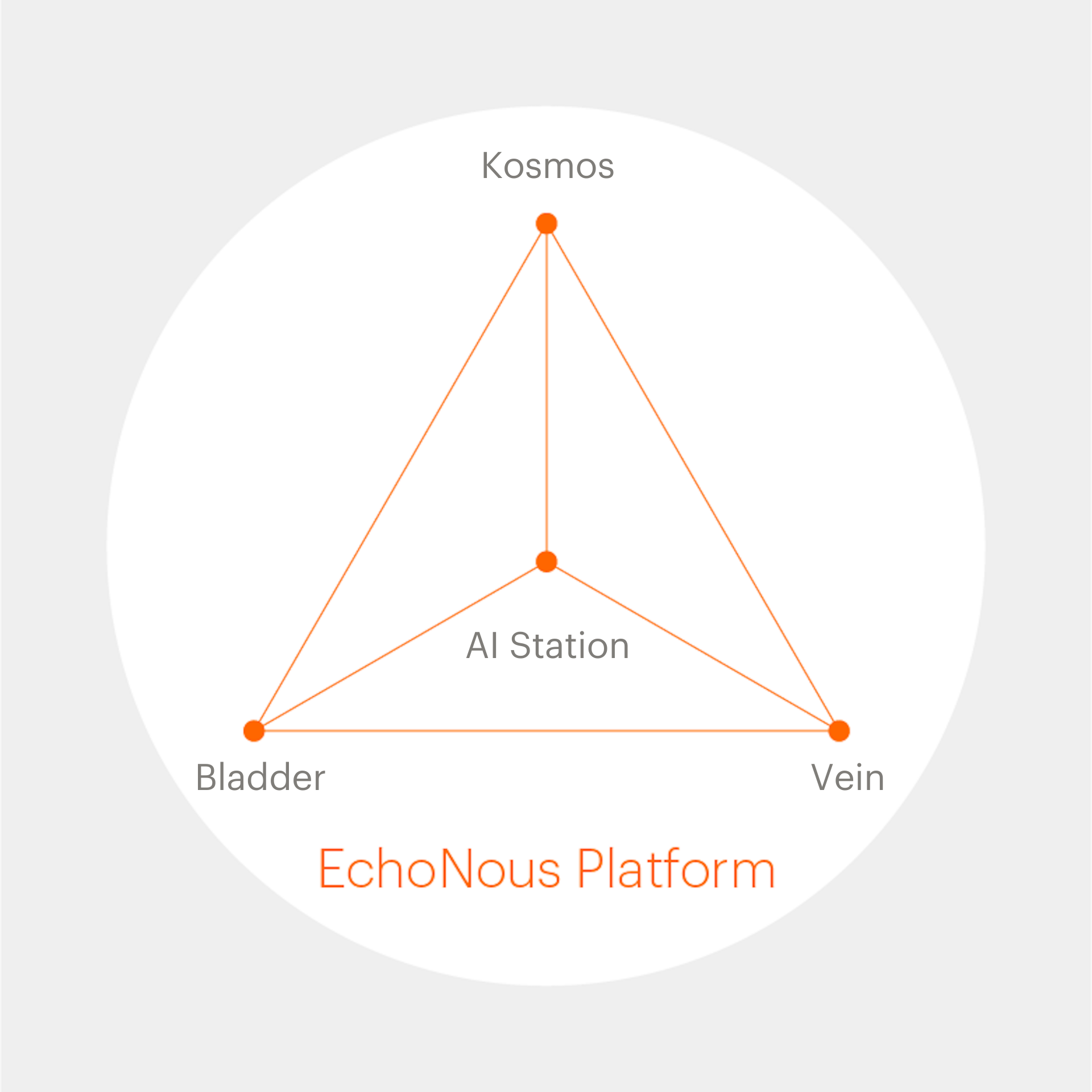 En Platform Infographic
